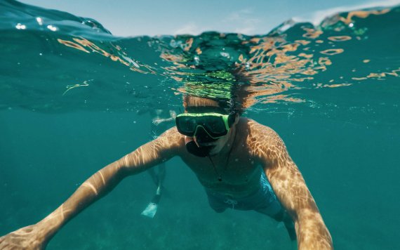 Snorkeling en Biscayne National Park Snorkeling en Biscayne National Park